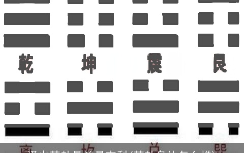 泽火革卦是凶是吉利(革卦身体怎么样)