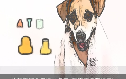 给狗狗取个幸运的名字(狗狗取名带运气)