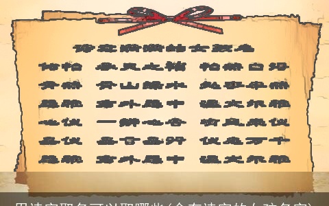 用诗字取名可以取哪些(含有诗字的女孩名字)