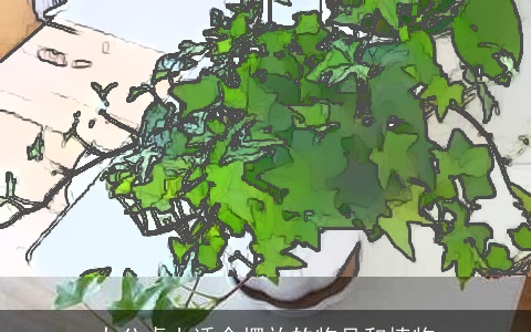 办公桌上适合摆放的物品和植物