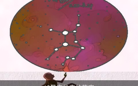 12星座代表的萌宠