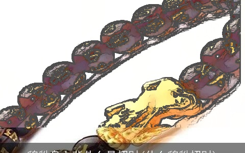 貔貅身上背什么最招财(什么貔貅招财)