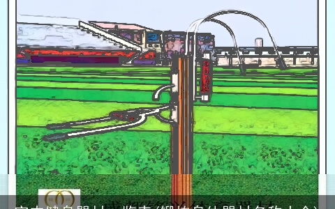 室内健身器材一览表(锻炼身体器材名称大全)