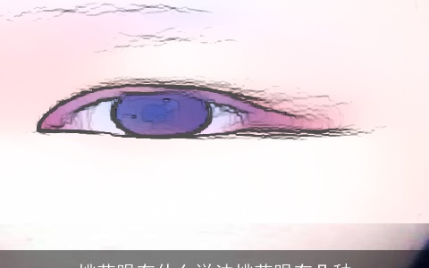 桃花眼有什么说法桃花眼有几种