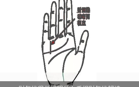 财气线很长阐明什么手相财气线解读