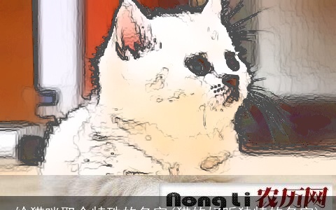 给猫咪取个特殊的名字(猫的好听独特的名字)