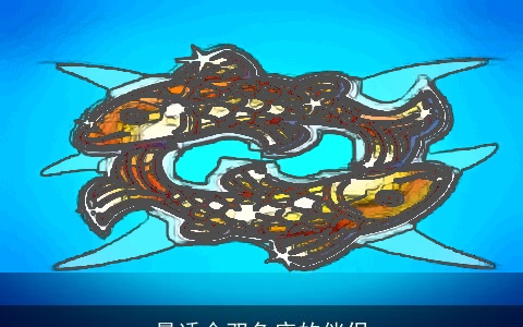 最适合双鱼座的伴侣