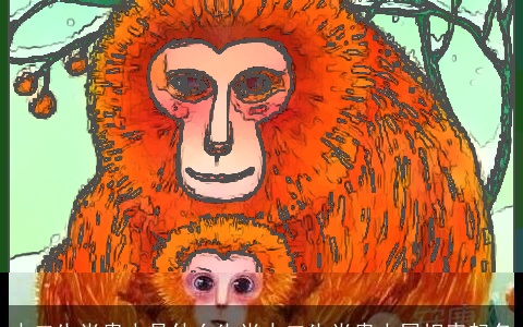 十二生肖贵人是什么生肖十二生肖贵人属相表起名