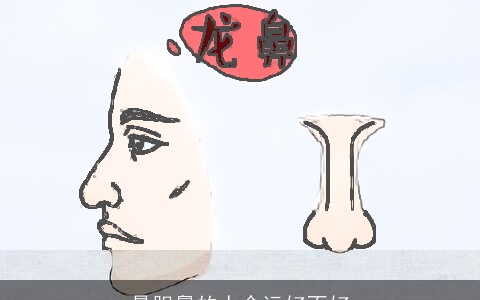 悬胆鼻的人命运好不好