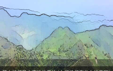 碧上挂灯风水宝地的葬法(大门挂灯有什么讲究吗)