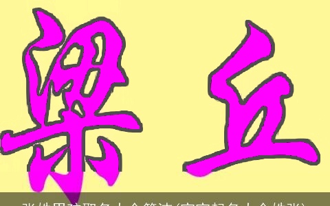 张姓男孩取名大全简洁(宝宝起名大全姓张)