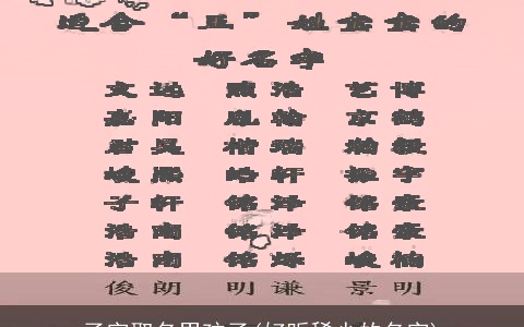 子字取名男孩子(好听稀少的名字)