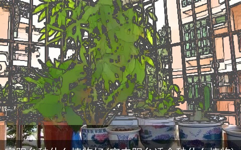 家阳台种什么植物好(室内阳台适合种什么植物)