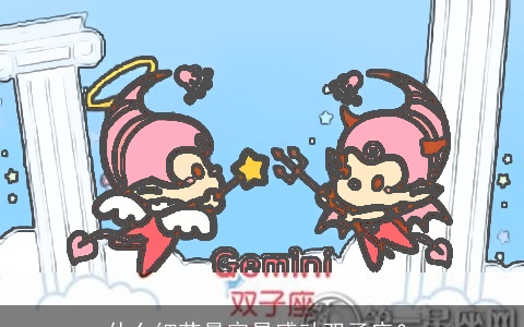 什么细节最容易感动双子座？