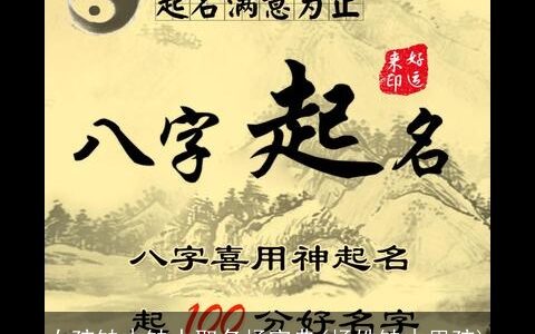 女孩缺木缺水取名杨宝典(杨姓缺木男孩)