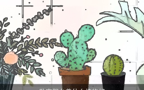 卧室阳台养什么植物好