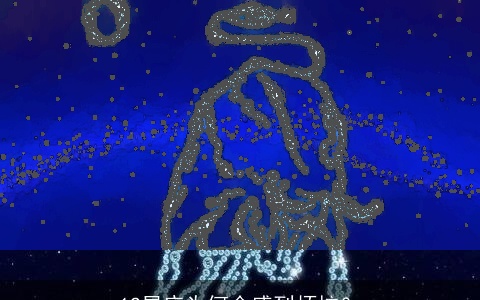 12星座为何会感到烦恼？