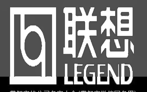 带智字的公司名字大全(带智字微信网名男)