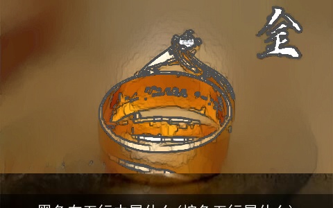 黑色在五行中属什么(棕色五行属什么)