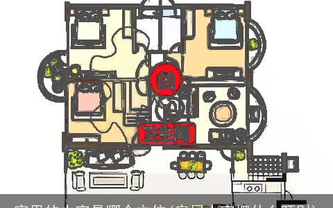 家里的中宫是哪个方位(房屋中宫摆什么旺财)