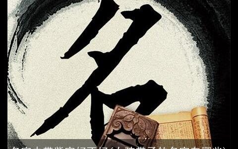 名字中带紫字好不好(女孩带子的名字有哪些)