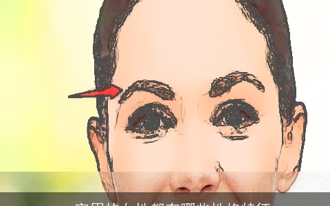 一字眉的女性都有哪些性格特征