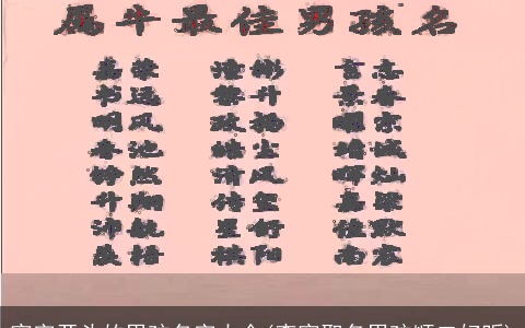 家字开头的男孩名字大全(李家取名男孩顺口好听)