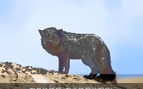 有名的狐狸(有关狐狸的昵称)