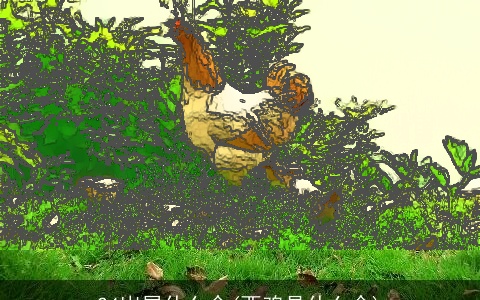 24岁属什么命(酉鸡是什么命)