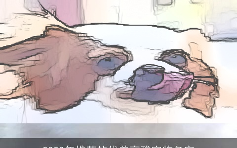 2023年推荐的优美高雅宠物名字