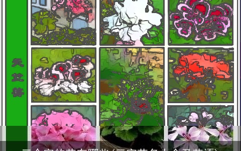 三个字的花有哪些(三字花名大全及花语)