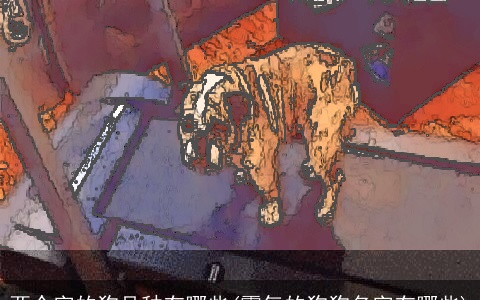 两个字的狗品种有哪些(霸气的狗狗名字有哪些)