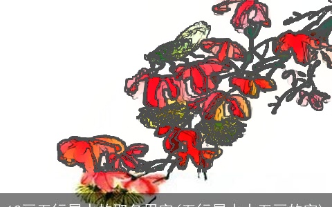 12画五行属水的取名用字(五行属水十五画的字)