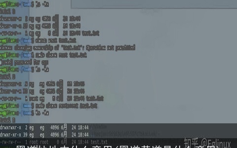 黑道炒地皮什么意思(黑道黄道是什么意思)