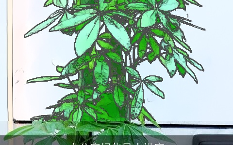 办公室绿化风水讲究