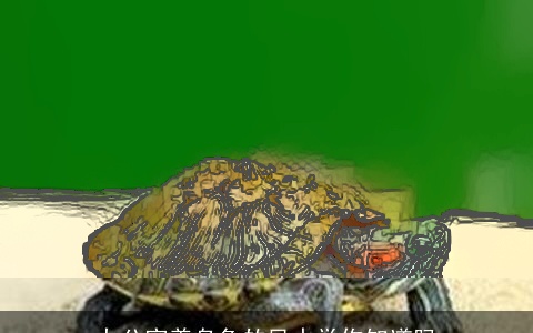 办公室养乌龟的风水学你知道吗