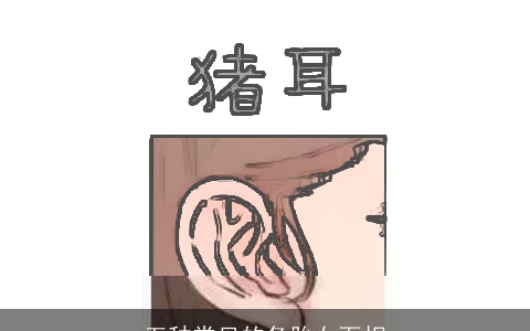 五种常见的备胎女面相