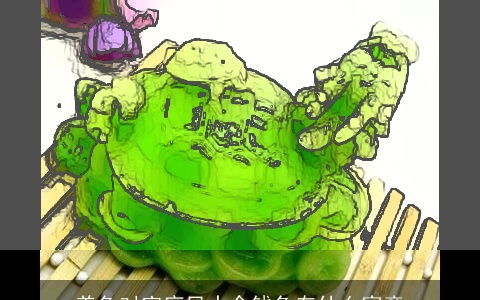 养龟对家庭风水金钱龟有什么寓意