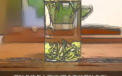 茶叶名称怎么取好(四个字的茶叶名字)