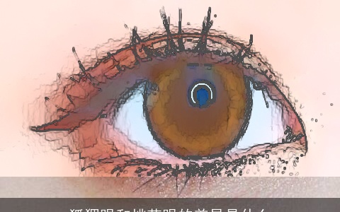 狐狸眼和桃花眼的差异是什么