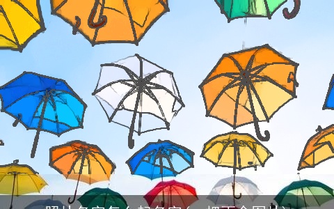 照片名字怎么起名字(一把雨伞图片)