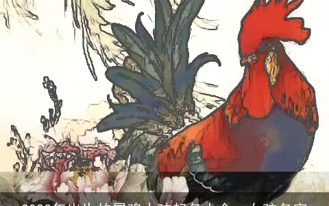 2023年出生的属鸡小孩起名大全：女孩名字