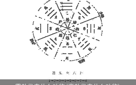 震卦代表什么动物(离卦代表什么动物)