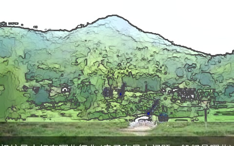 祖坟风水好有哪些征兆(房子有风水问题一般都是哪些)