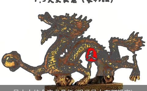 风水中的仓库龙是指(明堂风水有何讲究)