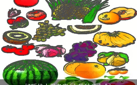 好听的水果名字(水果种类大全)