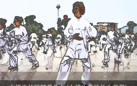 太极拳的精髓是什么(太极生两仪什么意思)