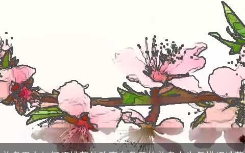 单身男女如何招桃花从改变自身开始单身女生怎样招桃花