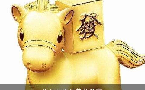 财运纹看运势的旺衰