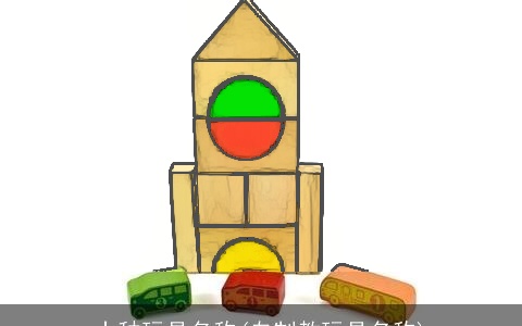 十种玩具名称(自制教玩具名称)